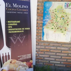 Viñedos de Cauquenes - Cauquenes