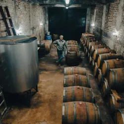 Viñedos de Cauquenes - Cauquenes