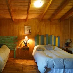 Viñedos de Cauquenes - Cauquenes