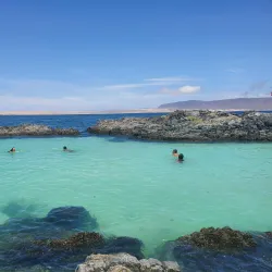Bahía Inglesa Beach - Chañaral