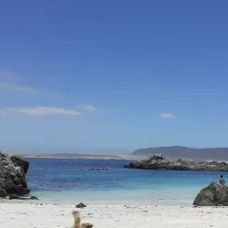 Bahía Inglesa Beach - Chañaral