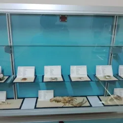 Chañaral Mining Museum - Chañaral