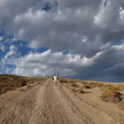 Mirador La Virgen - Chañaral