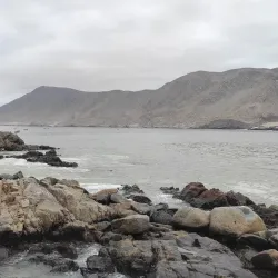 Pan de Azúcar National Park - Chañaral