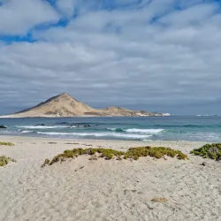 Pan de Azúcar National Park - Chañaral
