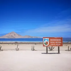 Pan de Azúcar National Park - Chañaral