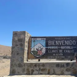 Reserva Nacional Llanos de Challe - Chañaral