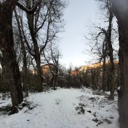 Nevados de Chillán - Chillan