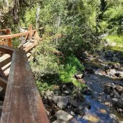 Parque Natural Nonguén - Chillan