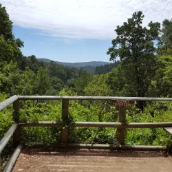 Parque Natural Nonguén - Chillan