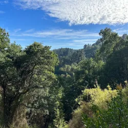Parque Natural Nonguén - Chillan
