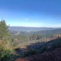 Parque Natural Nonguén - Chillan