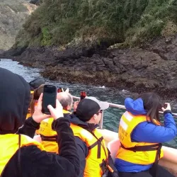 Boat Tours to Nearby Islands - Chonchi