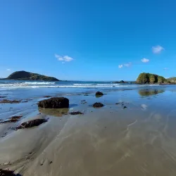 Boat Tours to Nearby Islands - Chonchi