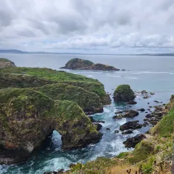 Boat Tours to Nearby Islands - Chonchi