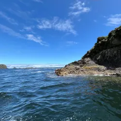 Boat Tours to Nearby Islands - Chonchi