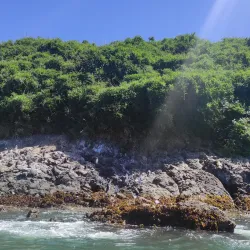 Boat Tours to Nearby Islands - Chonchi