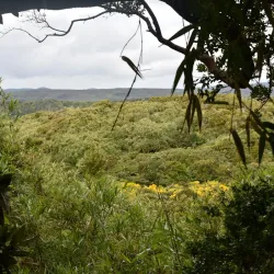 Chiloé National Park - Chonchi