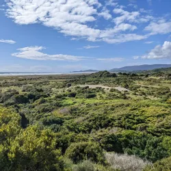 Chiloé National Park - Chonchi