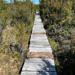 Chiloé National Park - Chonchi