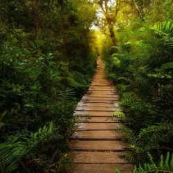 Chiloé National Park - Chonchi