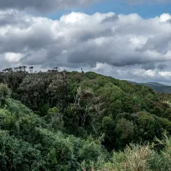 Chiloé National Park - Chonchi