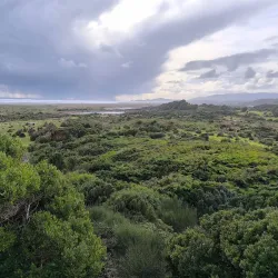 Chiloé National Park - Chonchi