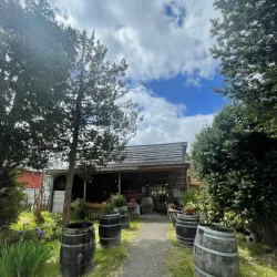 Local Seafood Restaurants - Chonchi