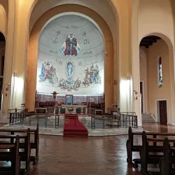 Catedral de la Santísima Concepción - Concepcion