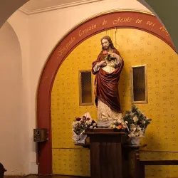 Catedral de la Santísima Concepción - Concepcion