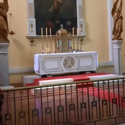 Catedral de la Santísima Concepción - Concepcion