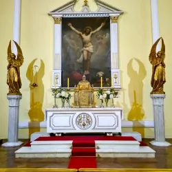 Catedral de la Santísima Concepción - Concepcion