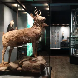 Museo de la Infancia - Concepcion