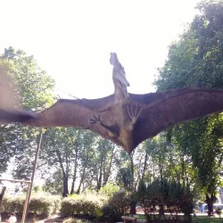 Museo de la Infancia - Concepcion