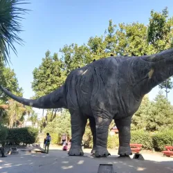 Museo de la Infancia - Concepcion