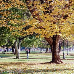 Parque Ecuador - Concepcion