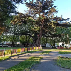 Parque Ecuador - Concepcion