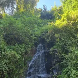 Parque Ecuador - Concepcion