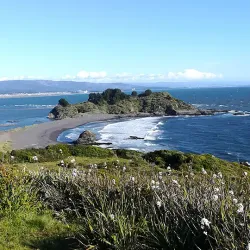 Parque Pedro del Río Zañartu - Concepcion