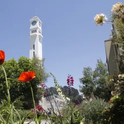 University of Concepcion - Concepcion