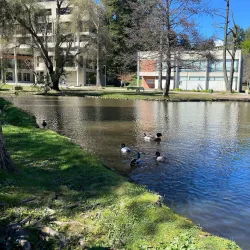 University of Concepcion - Concepcion
