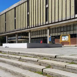 University of Concepcion - Concepcion