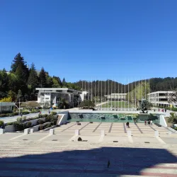 University of Concepcion - Concepcion