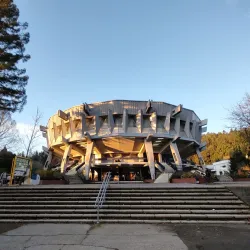 University of Concepcion - Concepcion