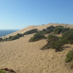 Dunas de Concón - Concon