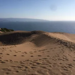Dunas de Concón - Concon