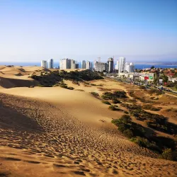 Dunas de Concón - Concon