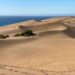 Dunas de Concón - Concon