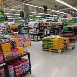 Mercado de Concón - Concon