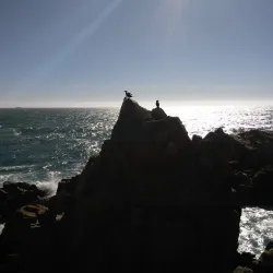 Mirador de Concón - Concon